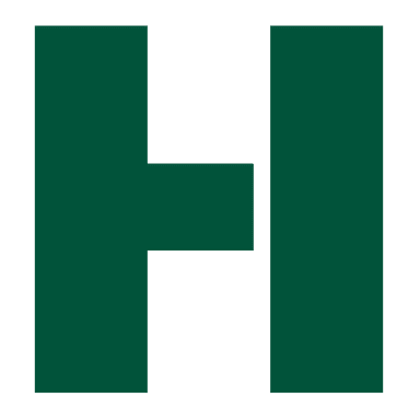 Holistic Logo